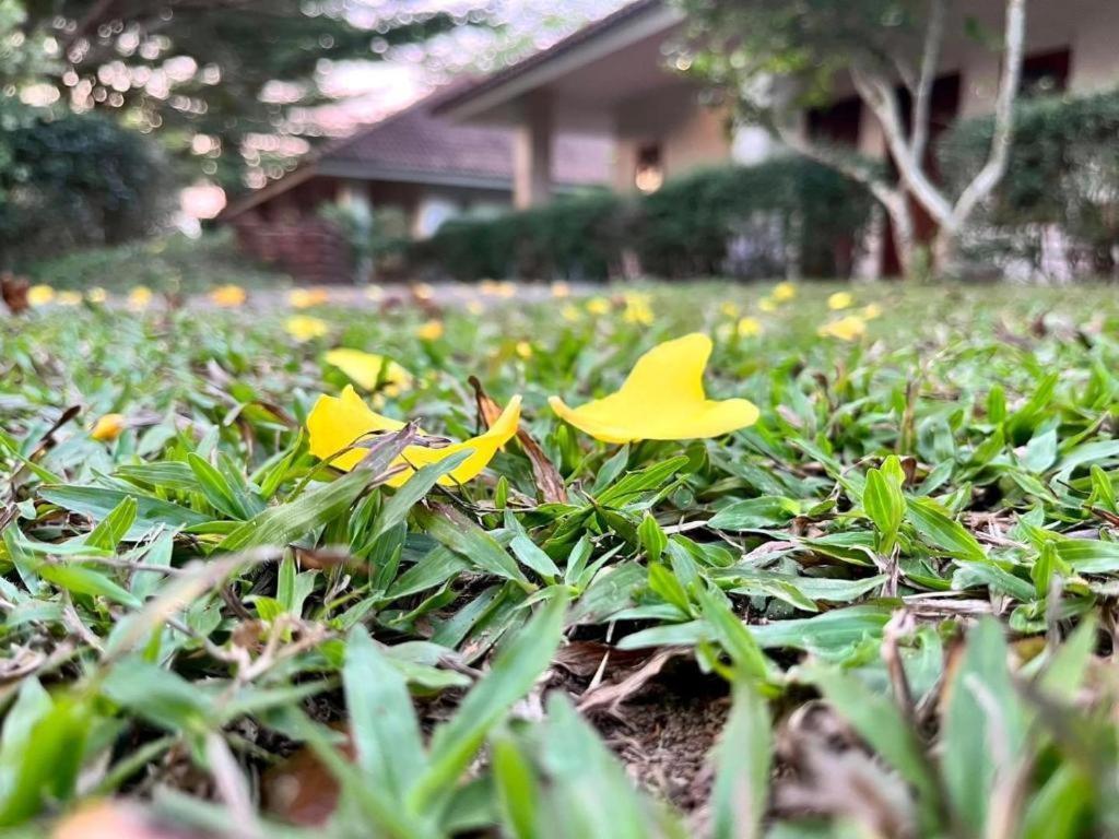 Baan Chuengkao Resort Ranong Dış mekan fotoğraf